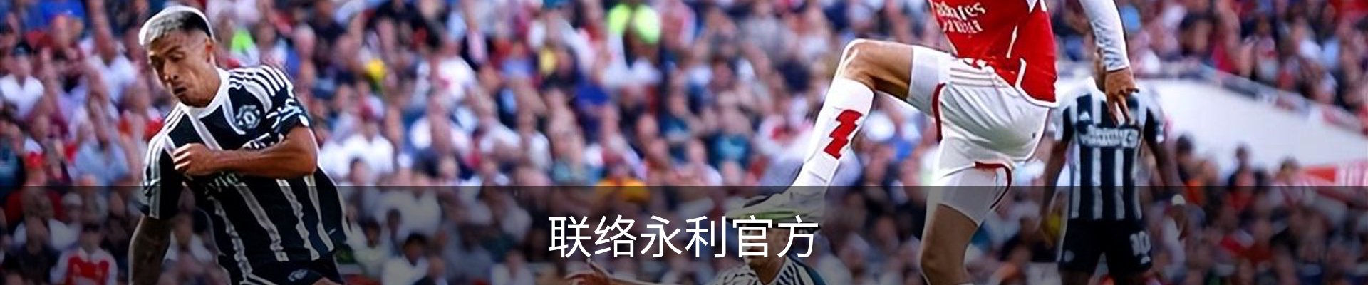 联络永利官方